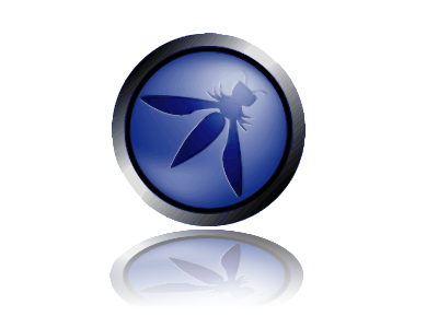 OWASP